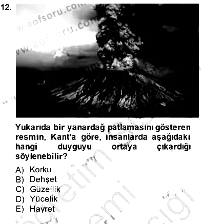 Estetik ve Sanat Felsefesi 2014-2015 Dönem Sonu Sınavı - 12. soru