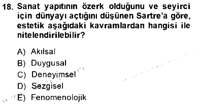 Estetik ve Sanat Felsefesi 2014-2015 Dönem Sonu Sınavı - 18. soru