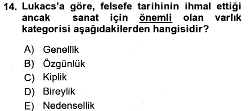 Estetik ve Sanat Felsefesi 2016-2017 Dönem Sonu Sınavı - 14. soru