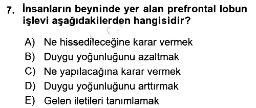 Etkili İletişim Teknikleri 2023-2024 Ara Sınav - 7. soru