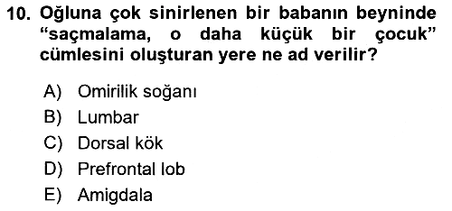 Etkili İletişim Teknikleri 2022-2023 Yaz Okulu Sınavı - 10. soru