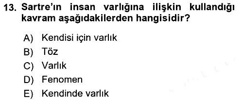 Felsefe 2018-2019 Ara Sınav - 13. soru