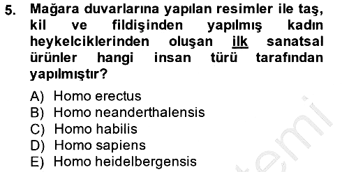 Genel Uygarlık Tarihi 2013-2014 Ara Sınav - 5. soru