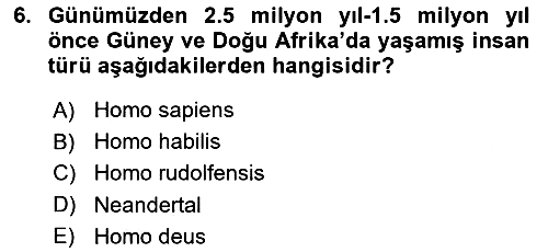 Genel Uygarlık Tarihi 2022-2023 Yaz Okulu Sınavı - 6. soru