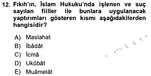 Hukukun Temel Kavramları 2018-2019 Yaz Okulu Sınavı - 12. soru