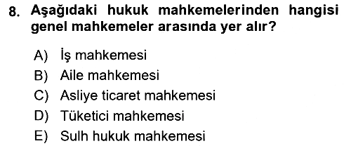 Hukukun Temel Kavramları 2020-2021 Yaz Okulu Sınavı - 8. soru