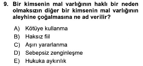 Hukukun Temel Kavramları 2024-2025 Yaz Okulu Sınavı - 9. soru