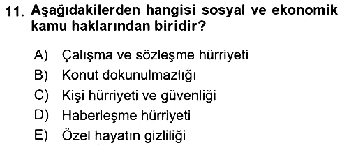 Hukukun Temel Kavramları 2024-2025 Yaz Okulu Sınavı - 11. soru