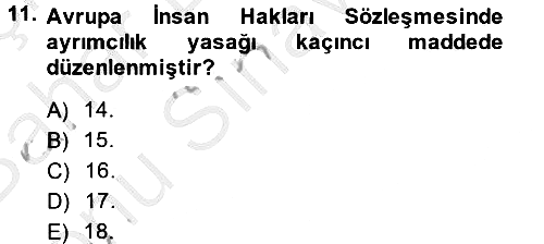 İnsan Hakları Ve Kamu Özgürlükleri 2014-2015 Dönem Sonu Sınavı - 11. soru