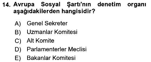 İnsan Hakları Ve Kamu Özgürlükleri 2018-2019 Yaz Okulu Sınavı - 14. soru