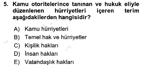 İnsan Hakları Ve Kamu Özgürlükleri 2020-2021 Yaz Okulu Sınavı - 5. soru