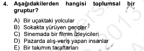 İnsan ve Toplum 2012-2013 Ara Sınav - 4. soru