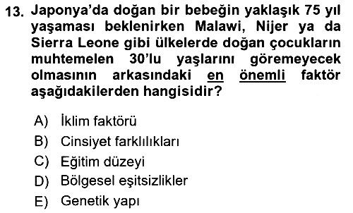 İnsan ve Toplum 2023-2024 Dönem Sonu Sınavı - 13. soru