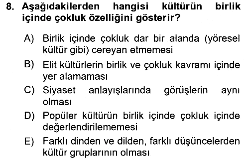 Kültür Tarihi 2017-2018 Ara Sınav - 8. soru