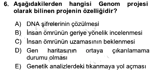 Kültür Tarihi 2016-2017 Dönem Sonu Sınavı - 6. soru