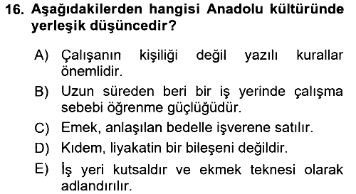 Kültürlerarası İletişim 2017-2018 3 Ders Sınavı - 16. soru