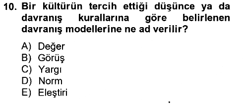 Kültürlerarası İletişim 2012-2013 Ara Sınav - 10. soru