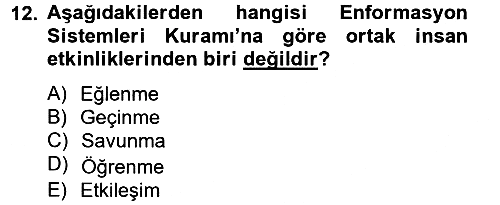 Kültürlerarası İletişim 2012-2013 Ara Sınav - 12. soru