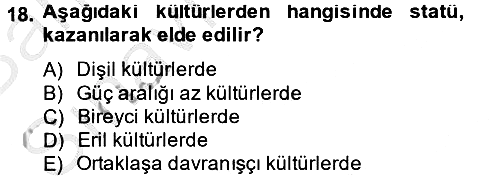 Kültürlerarası İletişim 2014-2015 Ara Sınav - 18. soru