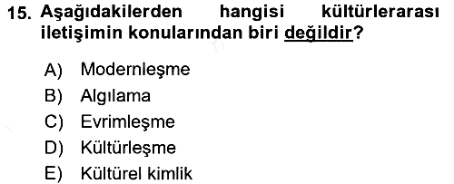 Kültürlerarası İletişim 2015-2016 Ara Sınav - 15. soru