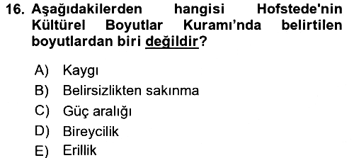 Kültürlerarası İletişim 2016-2017 Ara Sınav - 16. soru