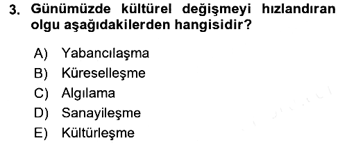 Kültürlerarası İletişim 2017-2018 Ara Sınav - 3. soru