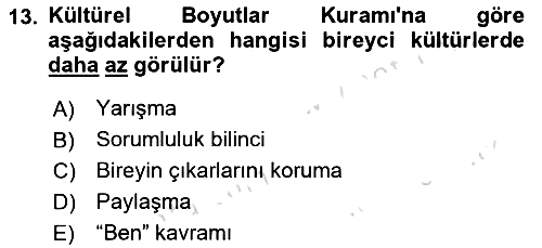 Kültürlerarası İletişim 2021-2022 Ara Sınav - 13. soru