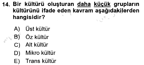 Kültürlerarası İletişim 2021-2022 Ara Sınav - 14. soru