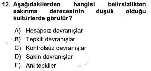 Kültürlerarası İletişim 2023-2024 Ara Sınav - 12. soru