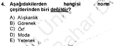 Kültürlerarası İletişim 2012-2013 Dönem Sonu Sınavı - 4. soru