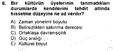 Kültürlerarası İletişim 2012-2013 Dönem Sonu Sınavı - 6. soru