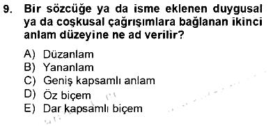 Kültürlerarası İletişim 2012-2013 Dönem Sonu Sınavı - 9. soru