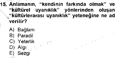 Kültürlerarası İletişim 2012-2013 Dönem Sonu Sınavı - 15. soru