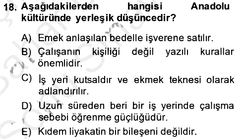Kültürlerarası İletişim 2013-2014 Dönem Sonu Sınavı - 18. soru