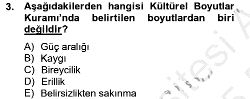 Kültürlerarası İletişim 2014-2015 Dönem Sonu Sınavı - 3. soru