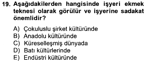 Kültürlerarası İletişim 2014-2015 Dönem Sonu Sınavı - 19. soru