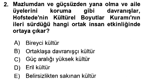 Kültürlerarası İletişim 2018-2019 Dönem Sonu Sınavı - 2. soru