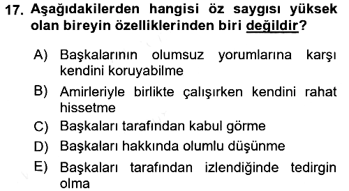 Kültürlerarası İletişim 2015-2016 Tek Ders Sınavı - 17. soru