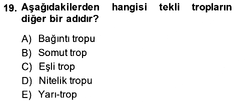 Metafizik 2013-2014 Ara Sınav - 19. soru