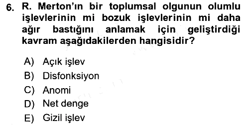 Modern Sosyoloji 2015-2016 Ara Sınav - 6. soru
