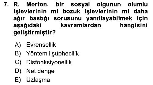 Modern Sosyoloji 2018-2019 Ara Sınav - 7. soru