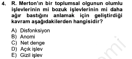 Modern Sosyoloji 2012-2013 Dönem Sonu Sınavı - 4. soru