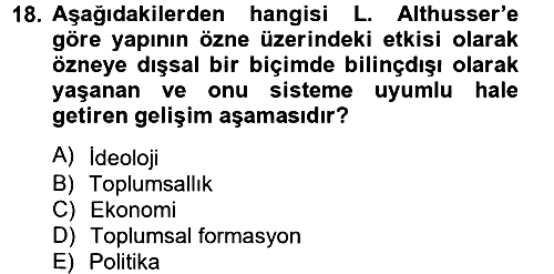 Modern Sosyoloji 2012-2013 Dönem Sonu Sınavı - 18. soru