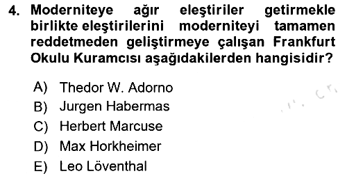Modern Sosyoloji 2023-2024 Dönem Sonu Sınavı - 4. soru