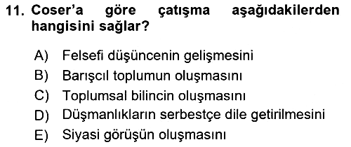 Modern Sosyoloji 2024-2025 Dönem Sonu Sınavı - 11. soru