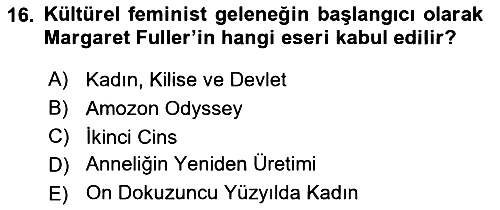 Modern Sosyoloji 2018-2019 Yaz Okulu Sınavı - 16. soru