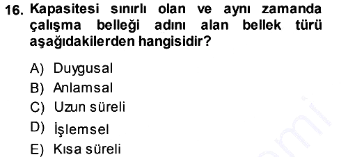 Psikoloji 2013-2014 Ara Sınav - 16. soru