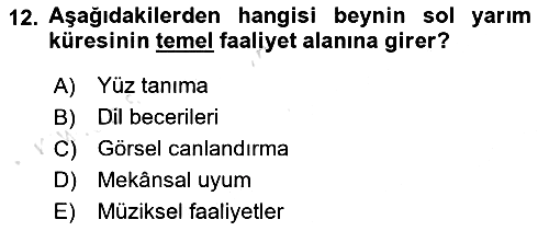 Psikoloji 2019-2020 Ara Sınav - 12. soru