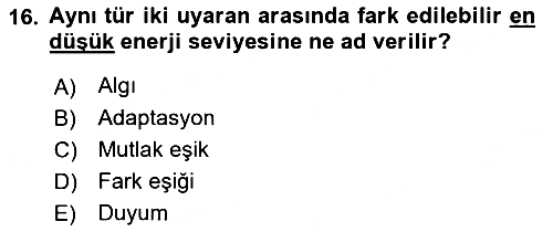 Psikoloji 2024-2025 Ara Sınav - 16. soru