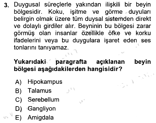 Psikoloji 2021-2022 Dönem Sonu Sınavı - 3. soru